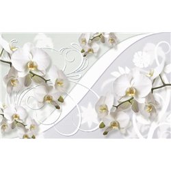 Ветви орхидей - 3D фотообои|3D цветы