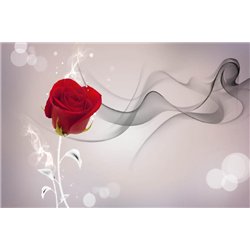 Алая роза - 3D фотообои|3Д обои для зала