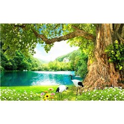 Цапли на берегу озера - Фотообои природа|озера