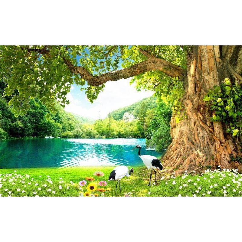 Цапли на берегу озера - Фотообои природа|озера