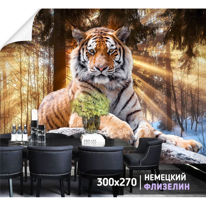 Фотообои тигр в солнечных лучах для спальни моющиеся 300х270