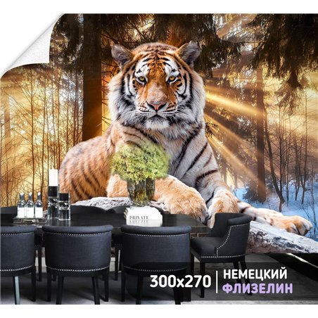 Фотообои тигр в солнечных лучах для спальни моющиеся 300х270