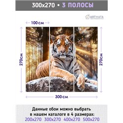 Фотообои тигр в солнечных лучах для спальни моющиеся 300х270