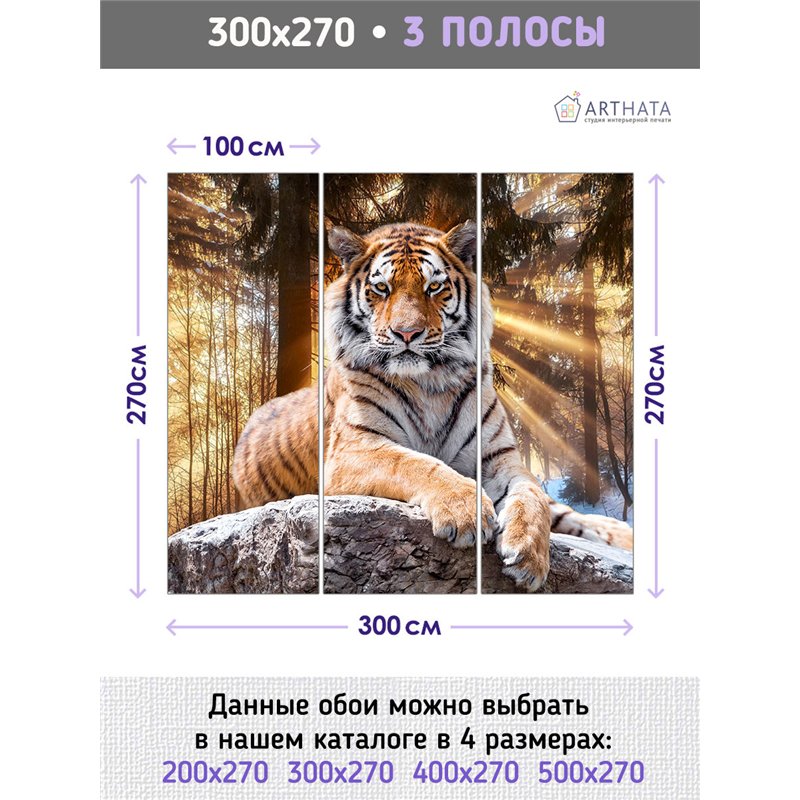 Фотообои тигр в солнечных лучах для спальни моющиеся 300х270
