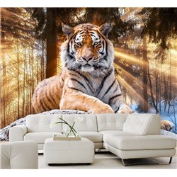 Фотообои тигр в солнечных лучах для спальни моющиеся 300х270