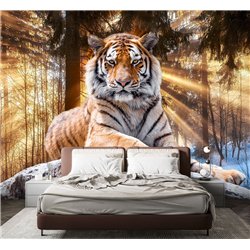 Фотообои тигр в солнечных лучах для спальни моющиеся 300х270