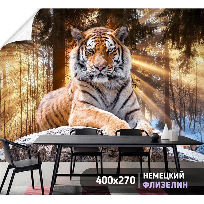 Фотообои тигр на камне для зала моющиеся 400х270