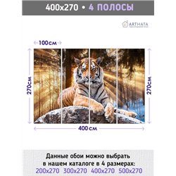 Фотообои тигр на камне для зала моющиеся 400х270