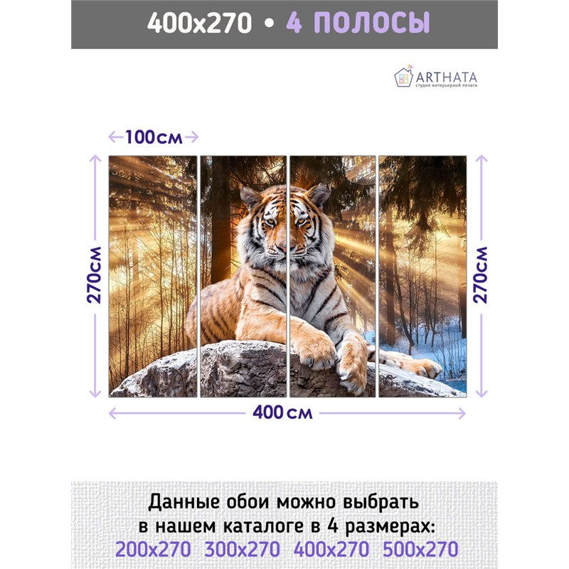 Фотообои тигр на камне для зала моющиеся 400х270