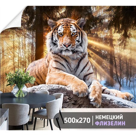 Фотообои тигр на камне в лучах 3d для зала метровые 500х270