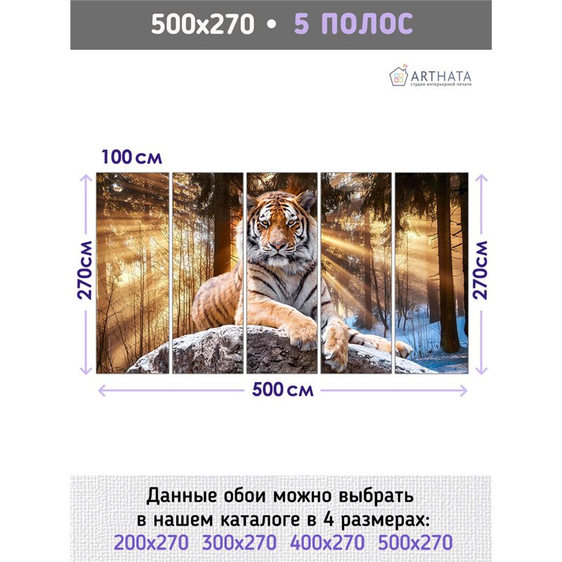 Фотообои тигр на камне в лучах 3d для зала метровые 500х270