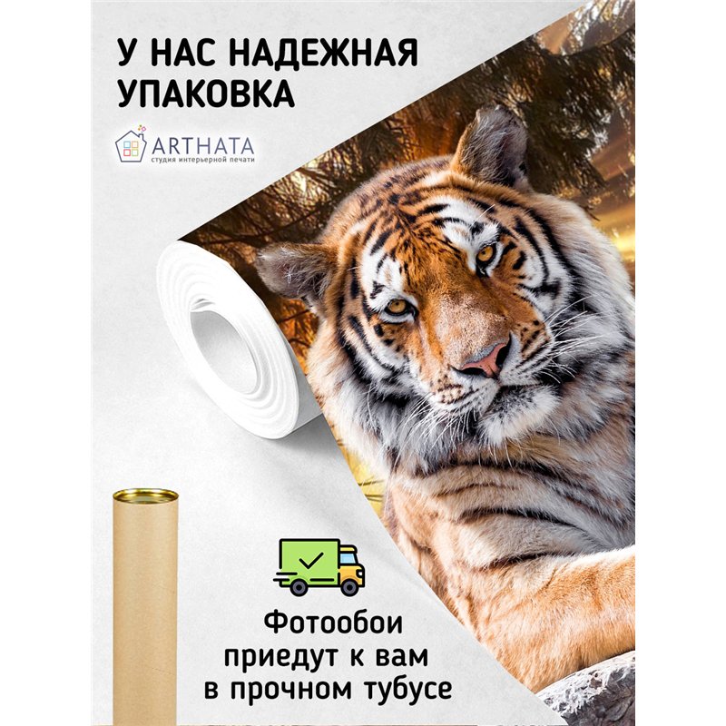 Фотообои тигр на камне в лучах 3d для зала метровые 500х270