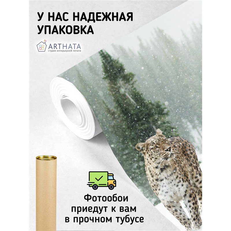 Фотообои снежный барс зимой для зала моющиеся 500х270