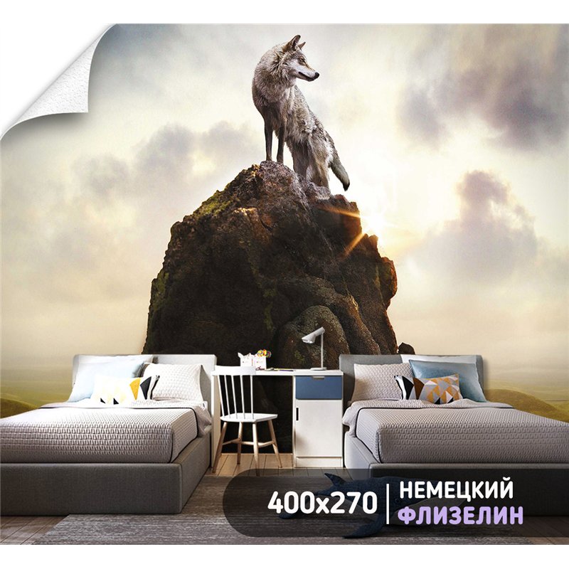 Фотообои с волком на пике горы 3d для зала метровые 400х270