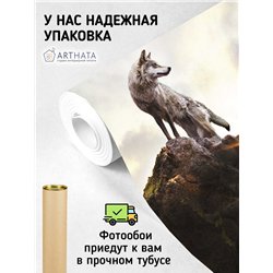 Фотообои с волком на пике горы 3d для зала метровые 400х270