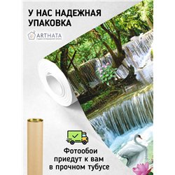Фотообои лебедь и водопад на кухню моющиеся 500х270