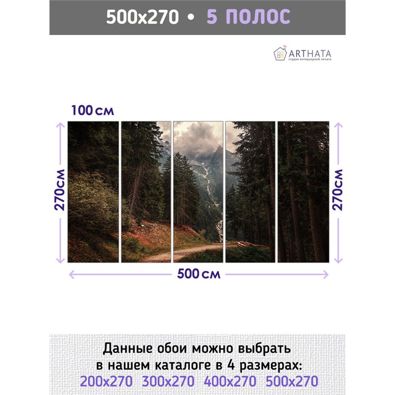 Фотообои горы и лесная тропа на кухню влагостойкие 500х270