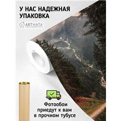 Фотообои горы и лесная тропа на кухню влагостойкие 500х270