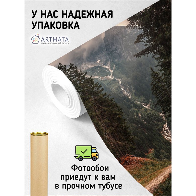 Фотообои горы и лесная тропа на кухню влагостойкие 500х270