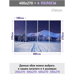 Фотообои зимняя ночь и горы для коридора метровые 400х270