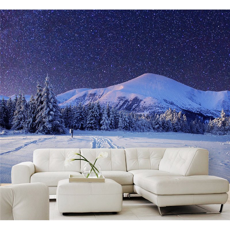 Фотообои зимняя ночь и горы для коридора метровые 400х270