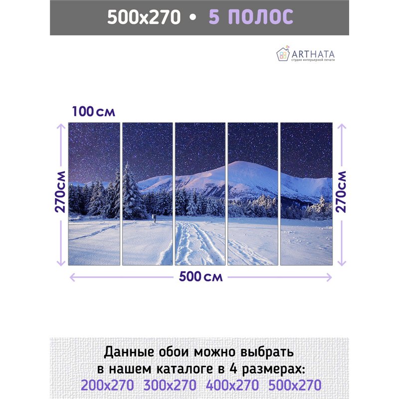 Фотообои зимний горный пейзаж 3d для зала метровые 500х270