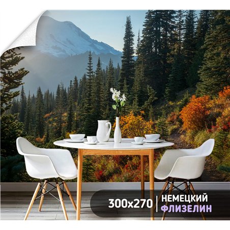 Фотообои лесная тропа в горах для коридора 300х270