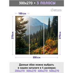 Фотообои лесная тропа в горах для коридора 300х270