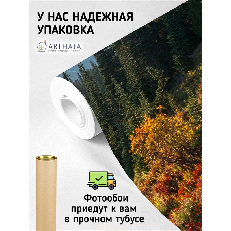 Фотообои лесная тропа в горах для коридора 300х270