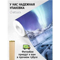 Фотообои северное сияние над ледником для кухни 200х270