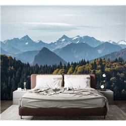 Фотообои лес и горы в лучах солнца моющиеся в кухню 500х270