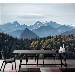 Фотообои лес и горы в лучах солнца моющиеся в кухню 500х270