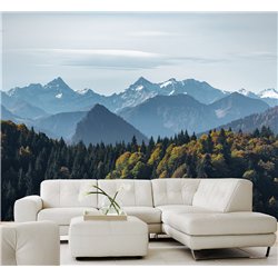 Фотообои лес и горы в лучах солнца моющиеся в кухню 500х270