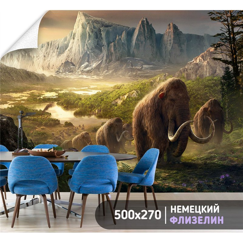 Фотообои пейзаж с горной долиной на кухню 500х270