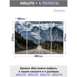 Фотообои горная дорога среди леса для спальни 400х270