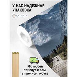 Фотообои горная дорога среди леса для спальни 400х270
