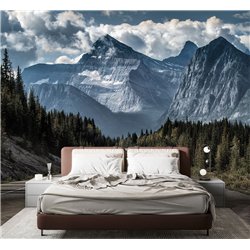 Фотообои горная дорога среди леса для спальни 400х270