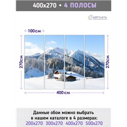 Фотообои горы в снегу и домик для зала моющиеся 400х270
