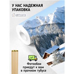 Фотообои горы в снегу и домик для зала моющиеся 400х270