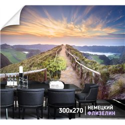 Фотообои тропа в горах с видом на поле для зала 300х270