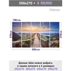 Фотообои тропа в горах с видом на поле для кухни 500х270
