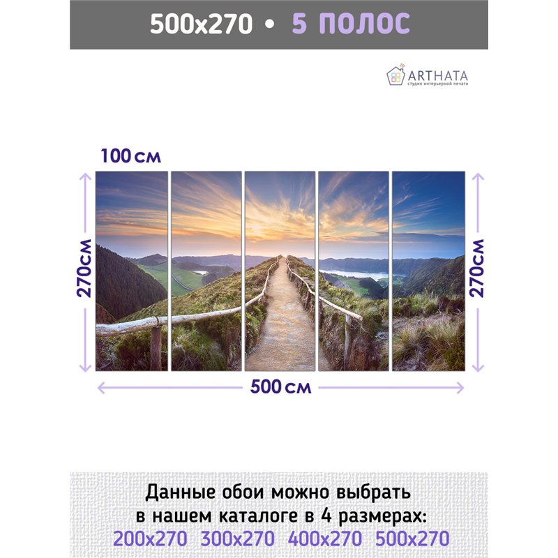 Фотообои тропа в горах с видом на поле для кухни 500х270