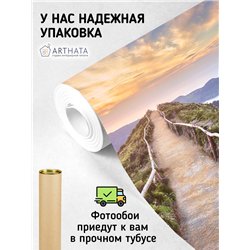 Фотообои тропа в горах с видом на поле для кухни 500х270