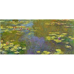 Водяные лилии