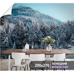 Фотообои заснеженный лес и горы для кухни метровые 200х270