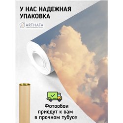 Фотообои розовые облака в небе на кухню флизелиновые 500х270