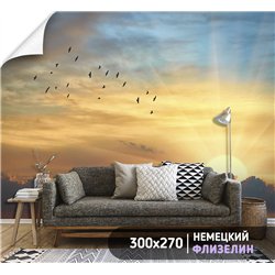 Фотообои небо на закате в зал флизелиновые 300х270