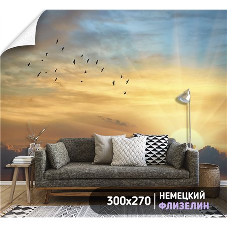 Фотообои небо на закате в зал флизелиновые 300х270