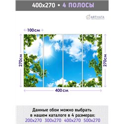 Фотообои ветви деревьев и небо для спальни моющиеся 400х270