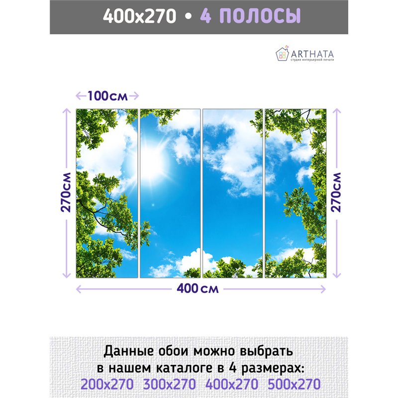 Фотообои ветви деревьев и небо для спальни моющиеся 400х270